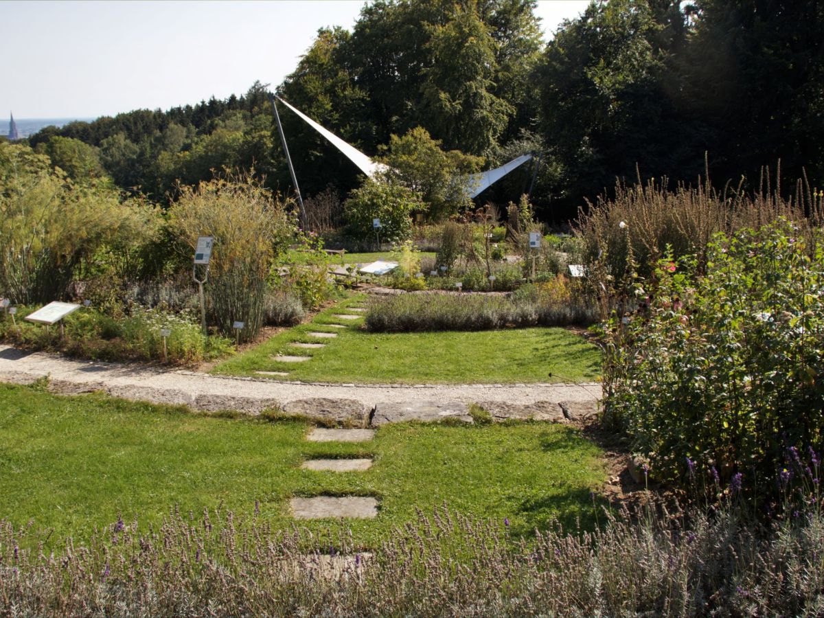 Botanischer Garten –&nbsp;Ulm