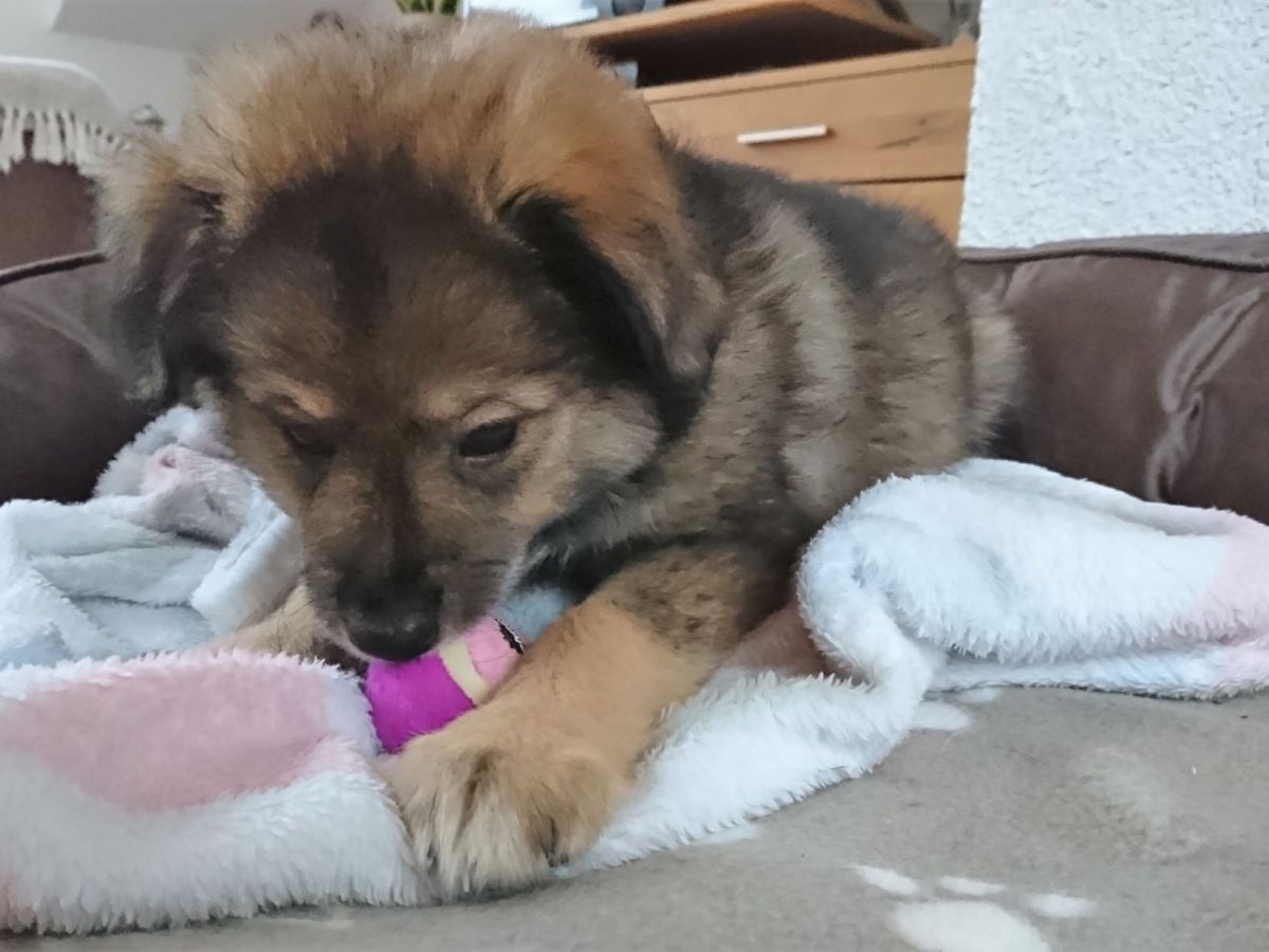 Yuna – Silvester und andere&nbsp;Problemchen